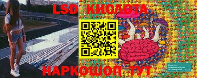 спиды Камышлов