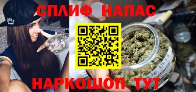 спиды Камышлов