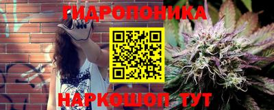 спиды Камышлов